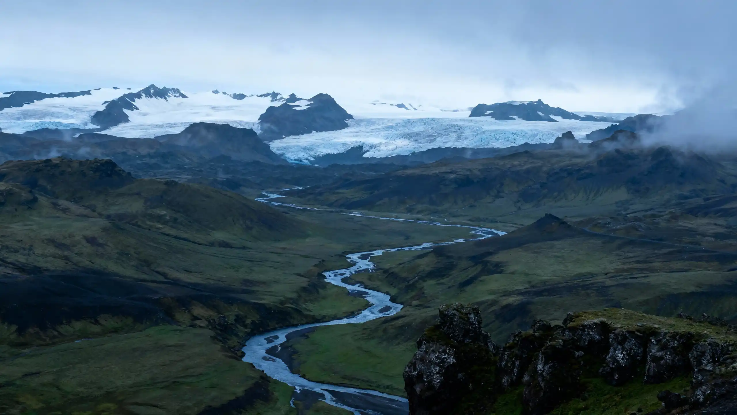 Professional Applications and Use Cases