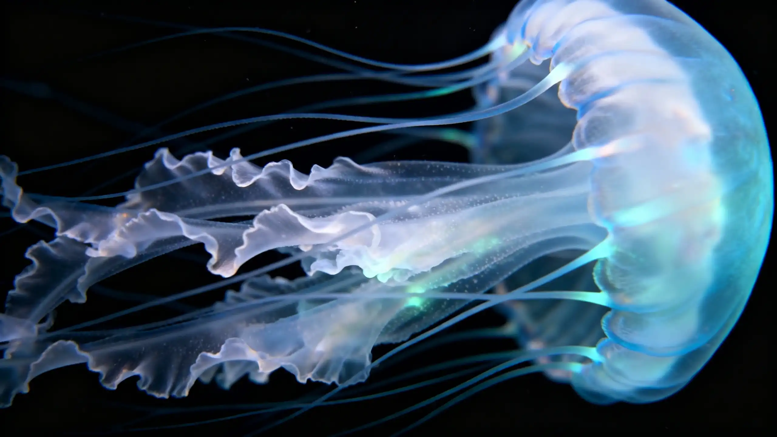 Seamless Integration and Workflow