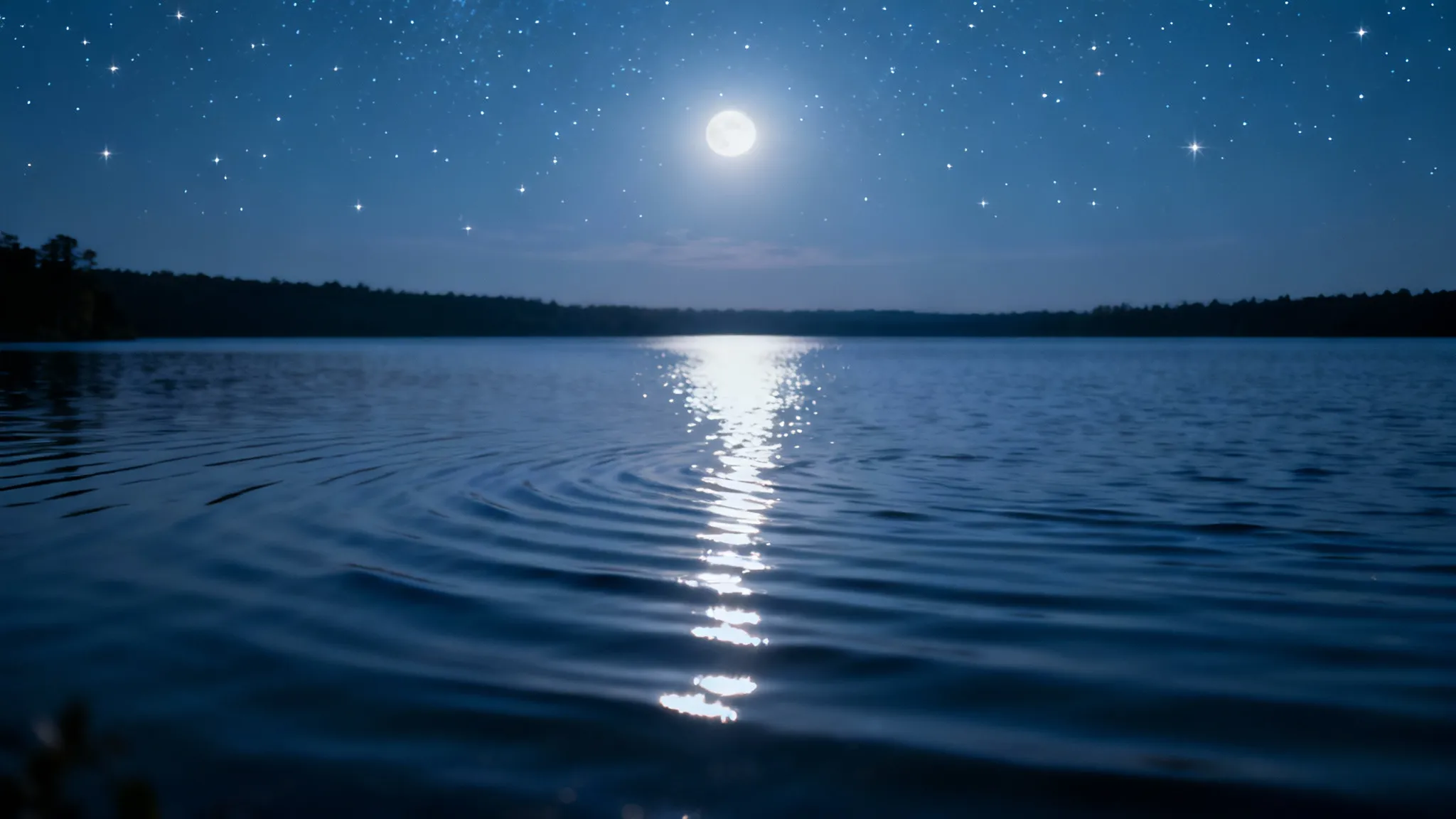 Sora 2 Proによるプロフェッショナル品質